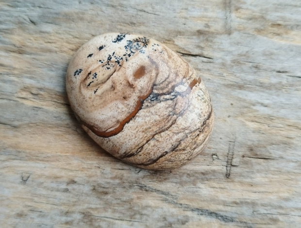 Cabochon picture jasper, 40x30 mm