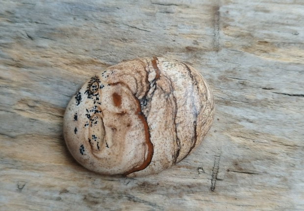 Cabochon picture jasper, 40x30 mm