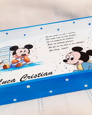 Tavita de mot baietel cu Mickey