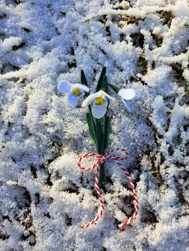 Mărțișor buchet de ghiocei