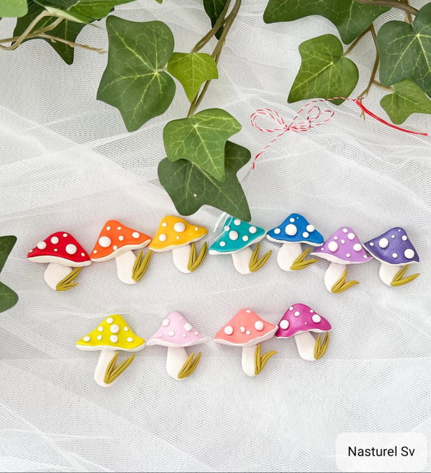 Brose martisor: Ciupercute colorate