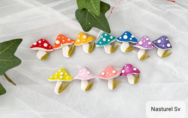 Brose martisor: Ciupercute colorate