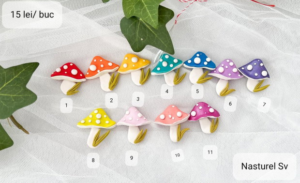 Brose martisor: Ciupercute colorate
