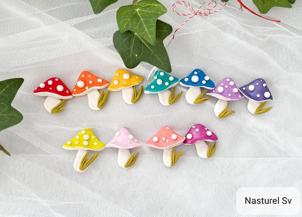 Brose martisor: Ciupercute colorate