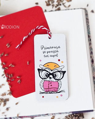 Minisemn de carte martisor bufnita pictat personalizat cu mesaj