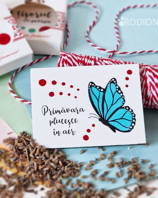 Martisor fluturas cu magnet pictat manual cu mesaj