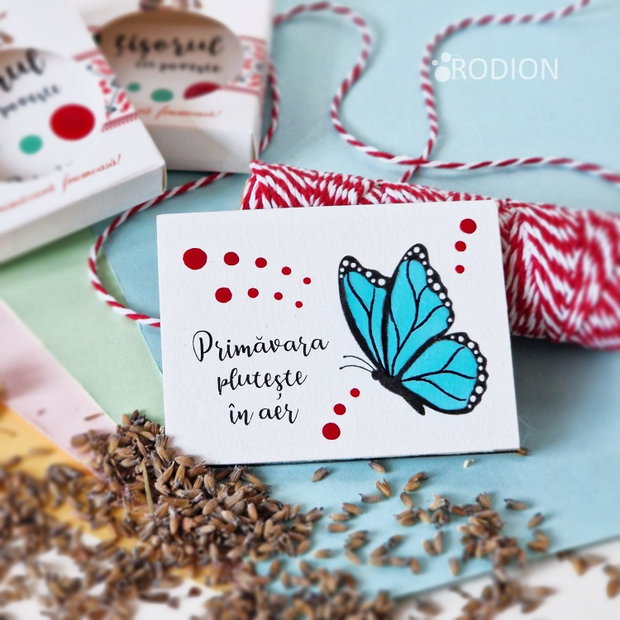 Martisor fluturas cu magnet pictat manual cu mesaj