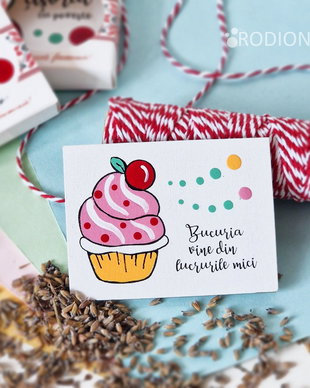 Martisor haios briosa cu magnet pictat manual cu mesaj