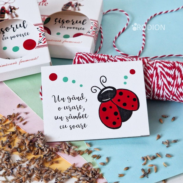 Martisor buburuza pictat manual cu magnet si mesaj haios
