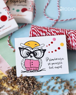 Martisor bufnita cu magnet pictat manual cu mesaj