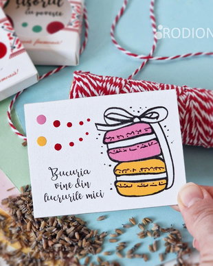 Martisor magnet pictat manual cu mesaj macarons