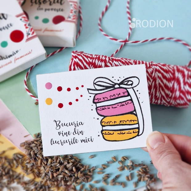 Martisor magnet pictat manual cu mesaj macarons