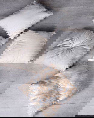 Set patru perne decorative