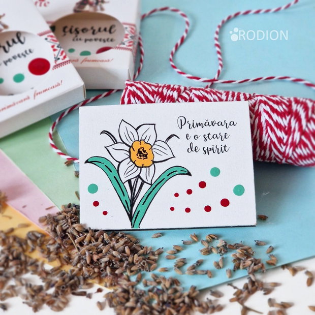 Martisor narcisa cu magnet pictat manual cu mesaj