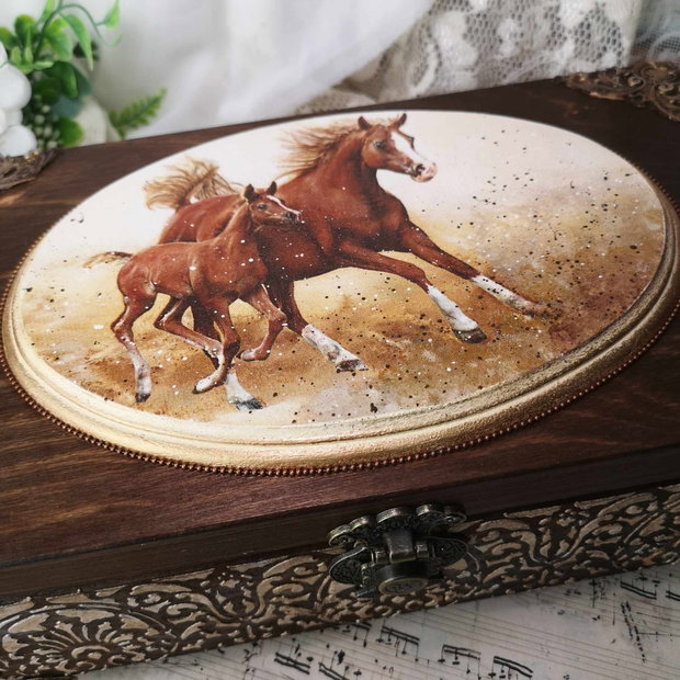 Cutie compartimentata - Cai in galop