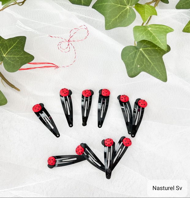 Clame martisor: Buburuze