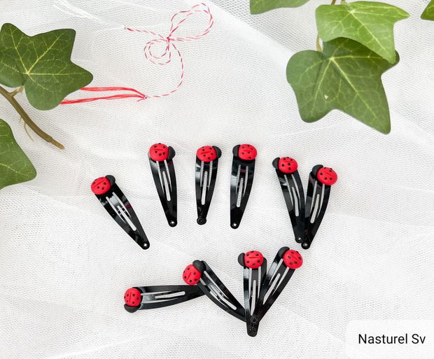 Clame martisor: Buburuze