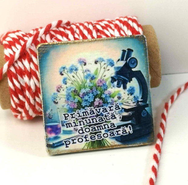 Martisor personalizat profesoara biologie , chimie