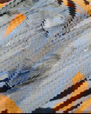 camasa cu buline dame   48/L