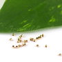 Crimp gold filled 14k, 1.1x1mm (1)