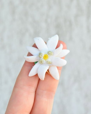 Floarea de colt- Brosa Martisor