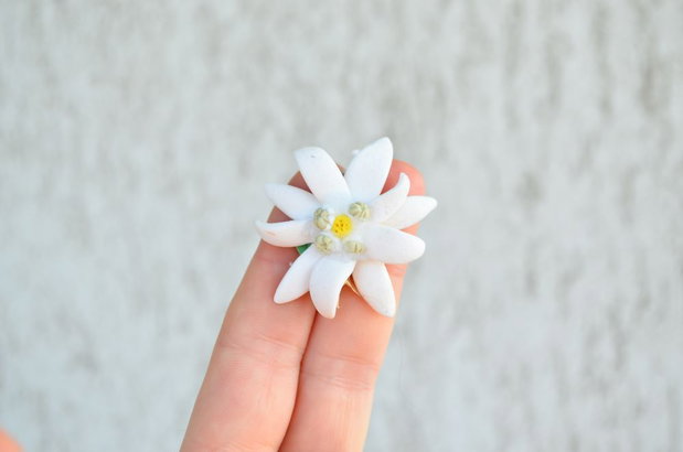 Floarea de colt- Brosa Martisor