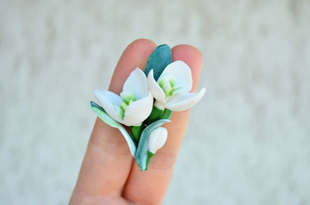 Ghioceii- Brosa Martisor