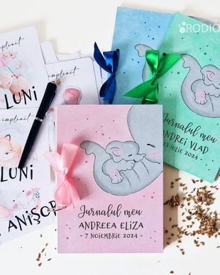 Jurnalul bebelusului personalizat cu nume pictat manual