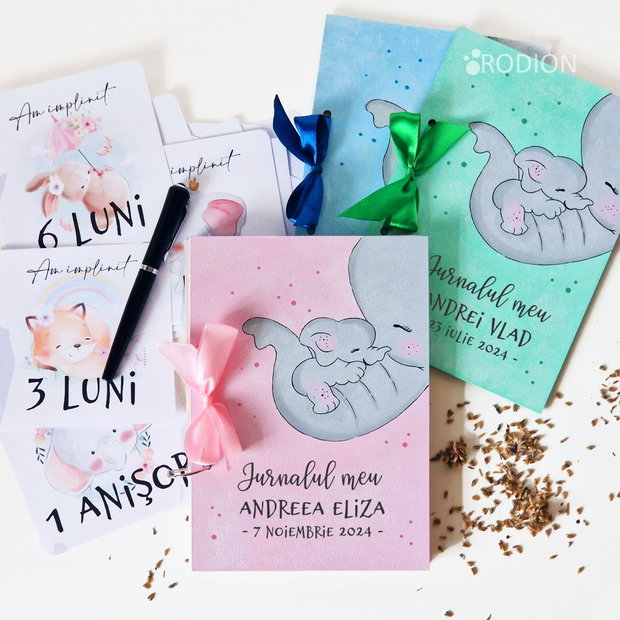 Jurnalul bebelusului personalizat cu nume pictat manual
