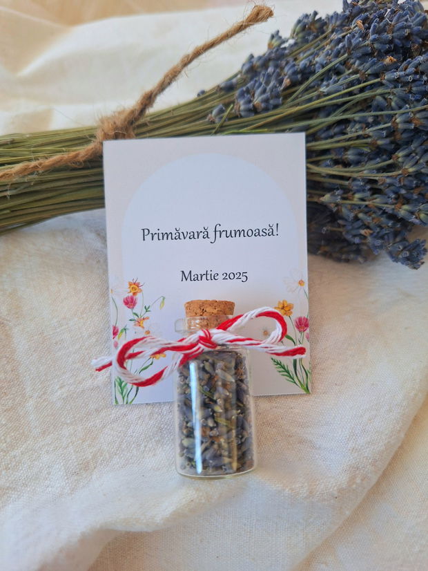 Martisoare magnet + sticluță lavanda