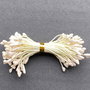 Lstamine02 - (5 buc) stamine