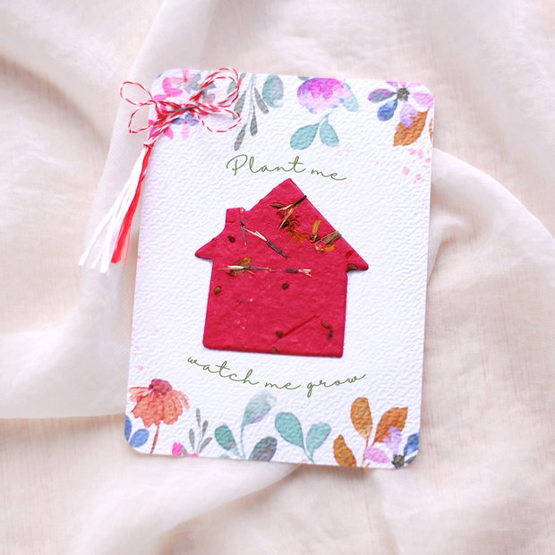 Martisor plantabil - Casuta cu seminte si petale de flori