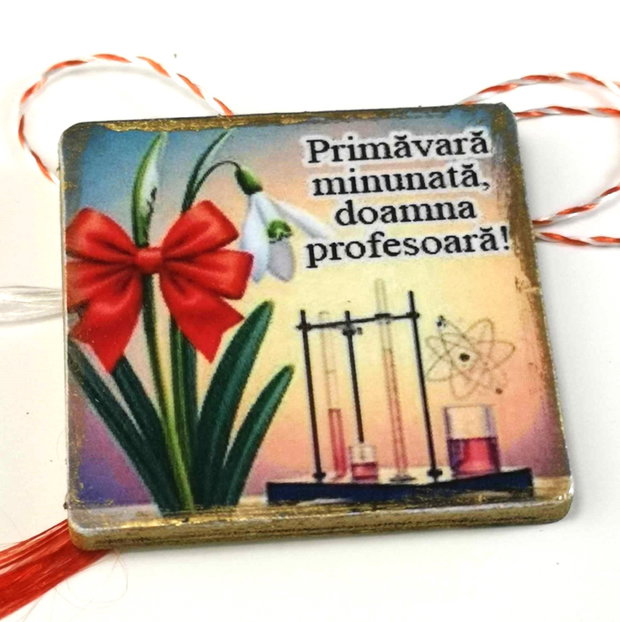 Martisoare personalizate profesoar fizica