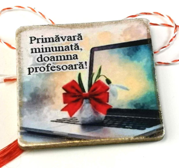 Martisor personalizat profesoara informatica