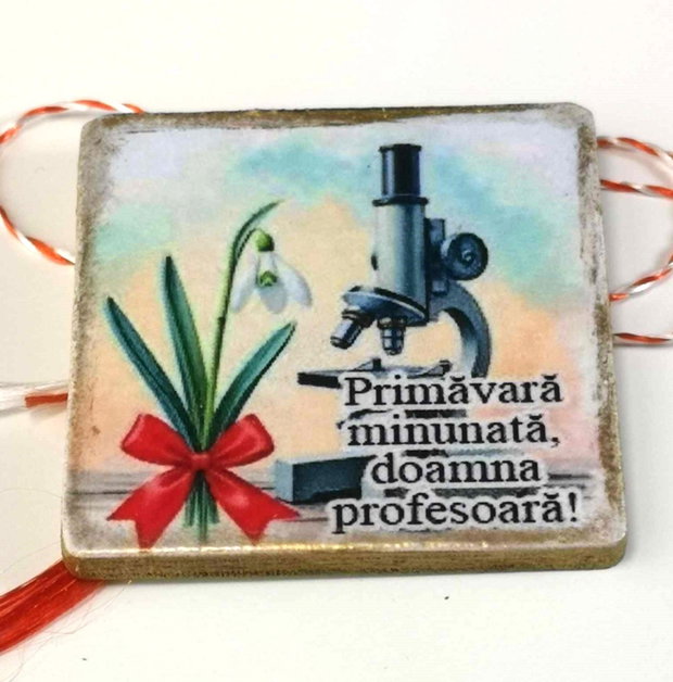 Martisoare personalizate profesoara biologie