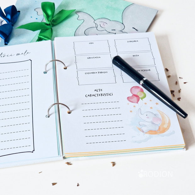 Jurnalul bebelusului personalizat cu nume pictat manual