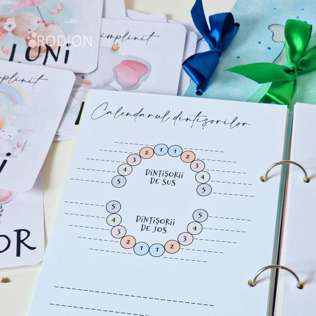 Jurnalul bebelusului personalizat cu nume pictat manual