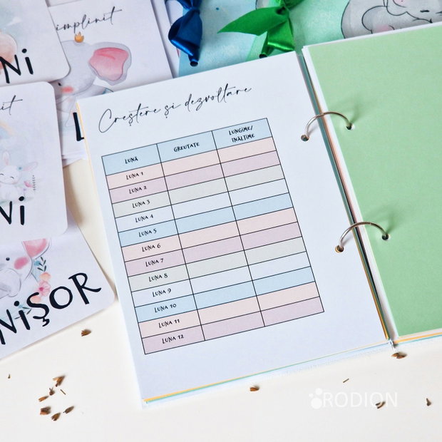 Jurnalul bebelusului personalizat cu nume pictat manual