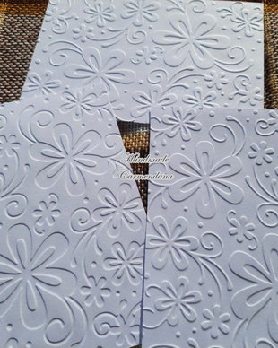 Carton embosat