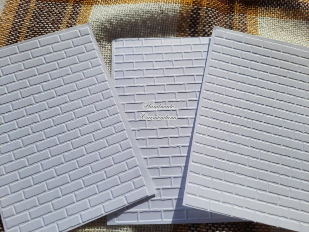 Carton embosat