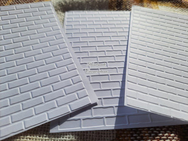 Carton embosat