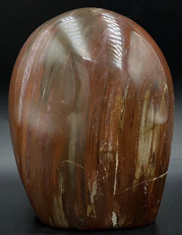 Lemn Fosilizat - sculptura piatra semipretioasa