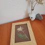 Floare de colț presată