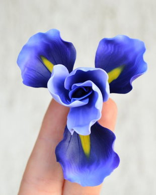 Iris mov- Brosa mare