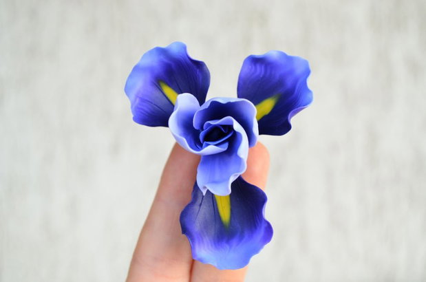 Iris mov- Brosa mare