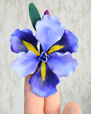 Iris mov- Brosa supradimensionata