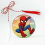 Martisor baieti Spiderman