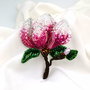 Rezervat Broșa Magnolia Imperială