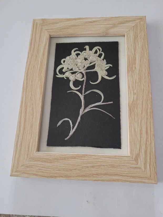 Tablou floare de colț presată