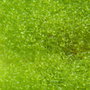 Margele nisip 2 mm (100 gr.)  (2-77)
